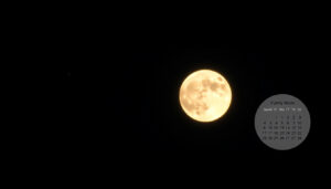 Is It a Full Moon Tonight? Check Now & 2026 Dates